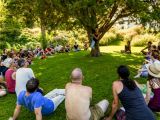 dancingtreefarm-cypress-meadow